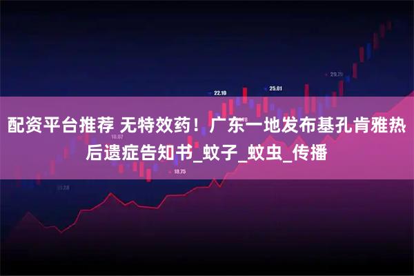 配资平台推荐 无特效药！广东一地发布基孔肯雅热后遗症告知书_蚊子_蚊虫_传播