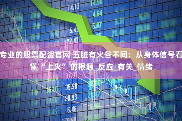 专业的股票配资官网 五脏有火各不同:从身体信号看懂 “上火” 的根源_反应_有关_情绪