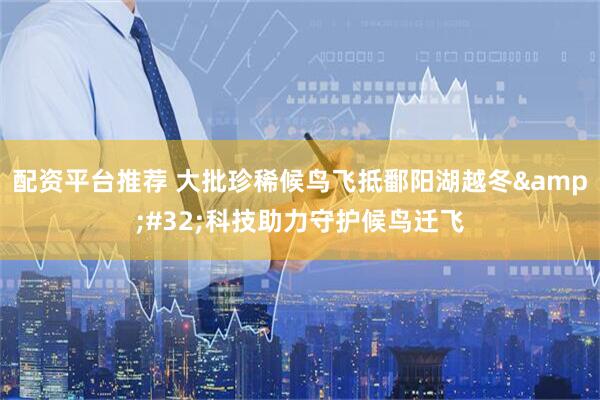 配资平台推荐 大批珍稀候鸟飞抵鄱阳湖越冬 科技助力守护候鸟迁飞